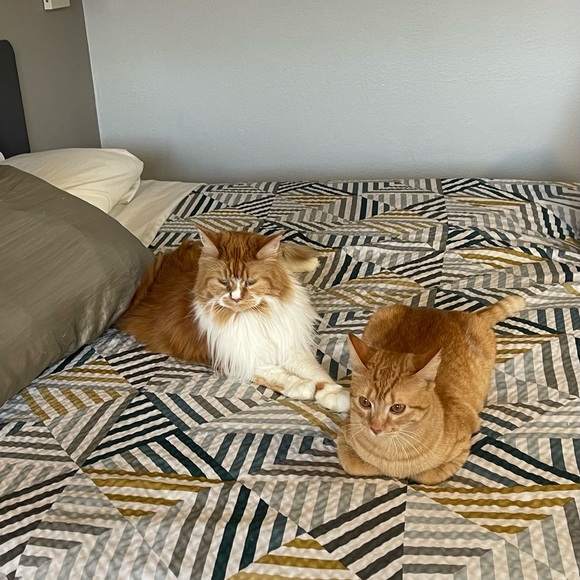 Meet your Posher, Paige - Picture 8 of 8